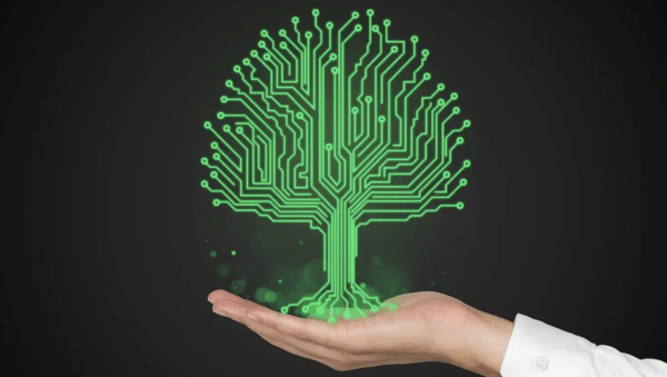 Как терять по 500к в день, а в итоге вырасти в стабильный IT-бизнес